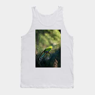 Orange Bellied Parrot Tank Top